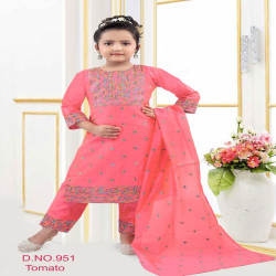 Girls Festive Embroidered Salwar Suit with Dupatta
